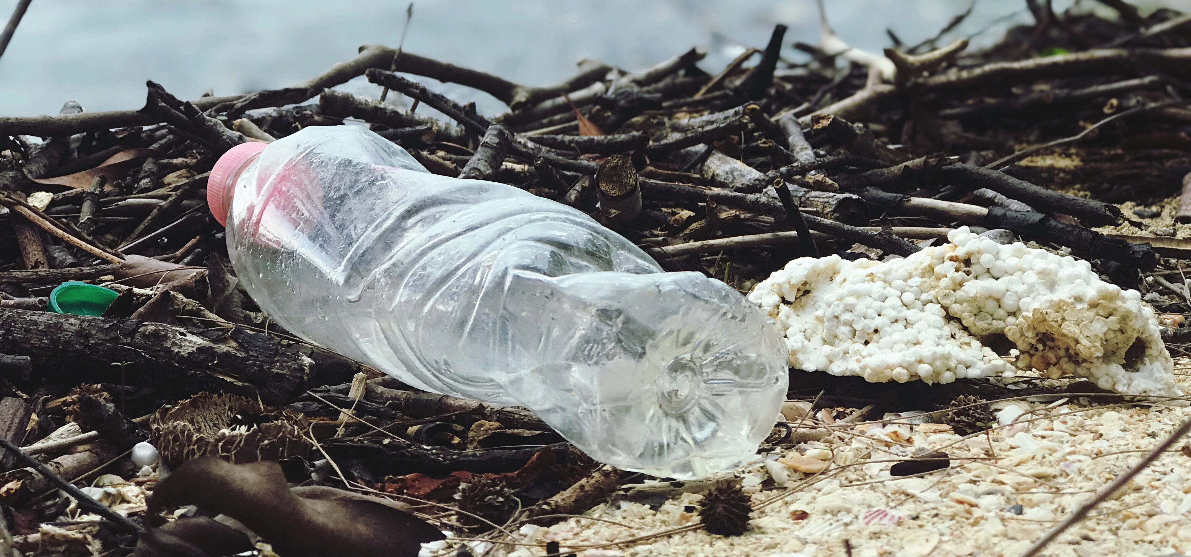 Decorative image