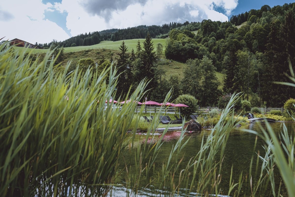 Ski & Bike Hotel Wiesenegg