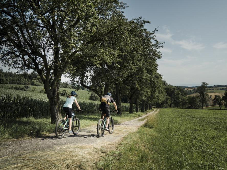 © Oberösterreich Tourismus GmbH, Robert Maybach