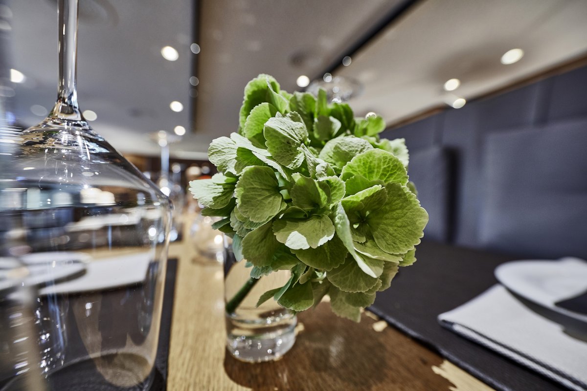 Hans-Peter Porsche Traumwerk