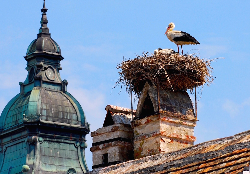 © Burgenland Tourismus GmbH, Günther Ippisch