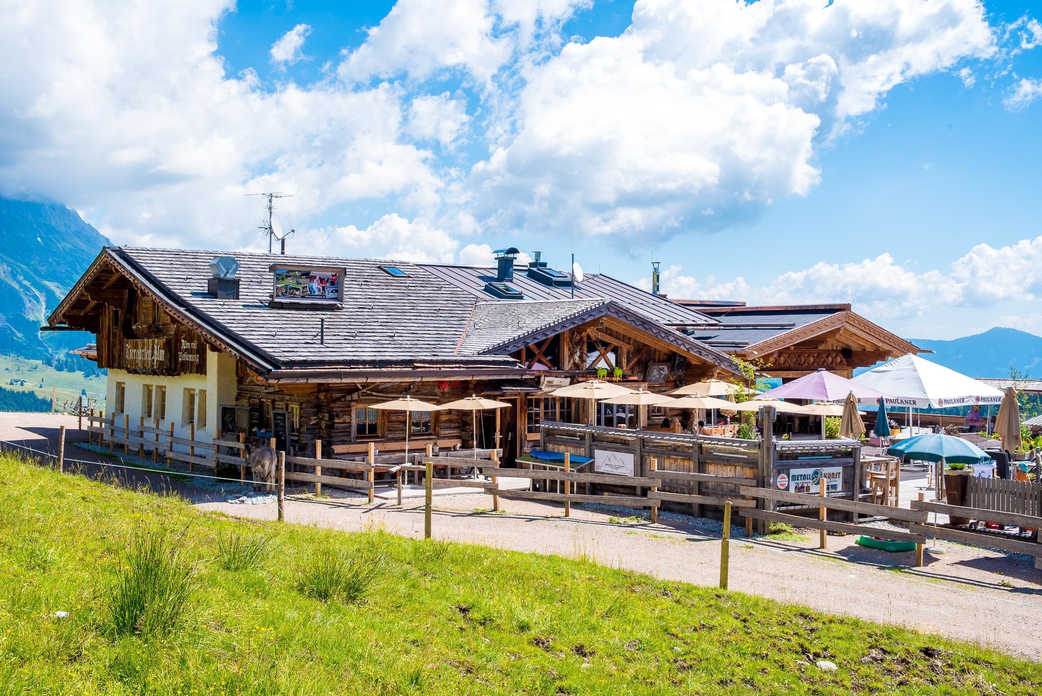 Tiergartenalm Foto von Aussenansicht der Alm im Sommer