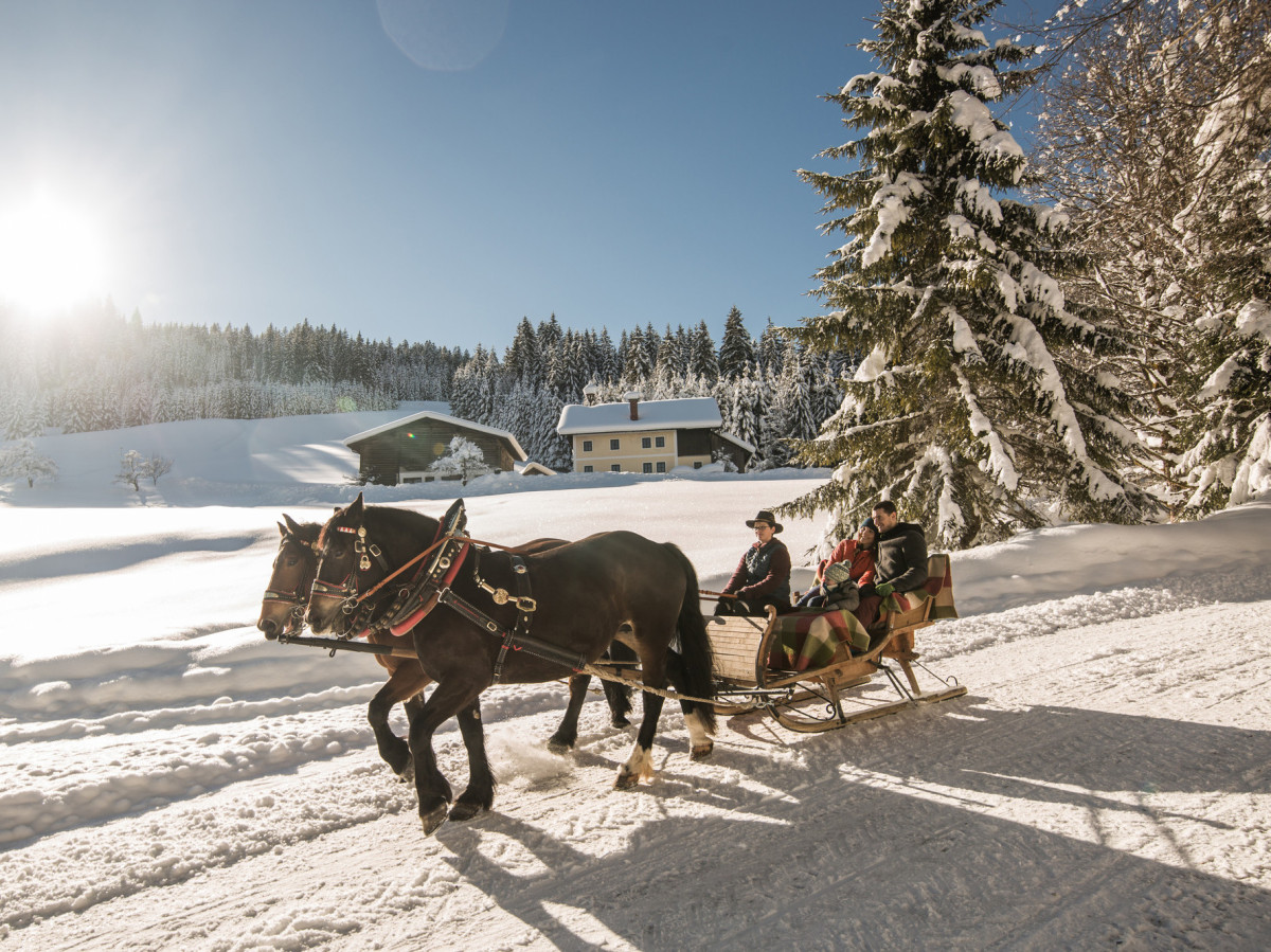 © SalzburgerLand Tourismus Familie beim Pferdeschlittenfahren Region Tennengau-Dachstein West - Rußbach