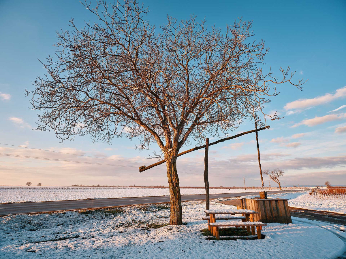 © Burgenland Tourismus GmbH, stills&emotions