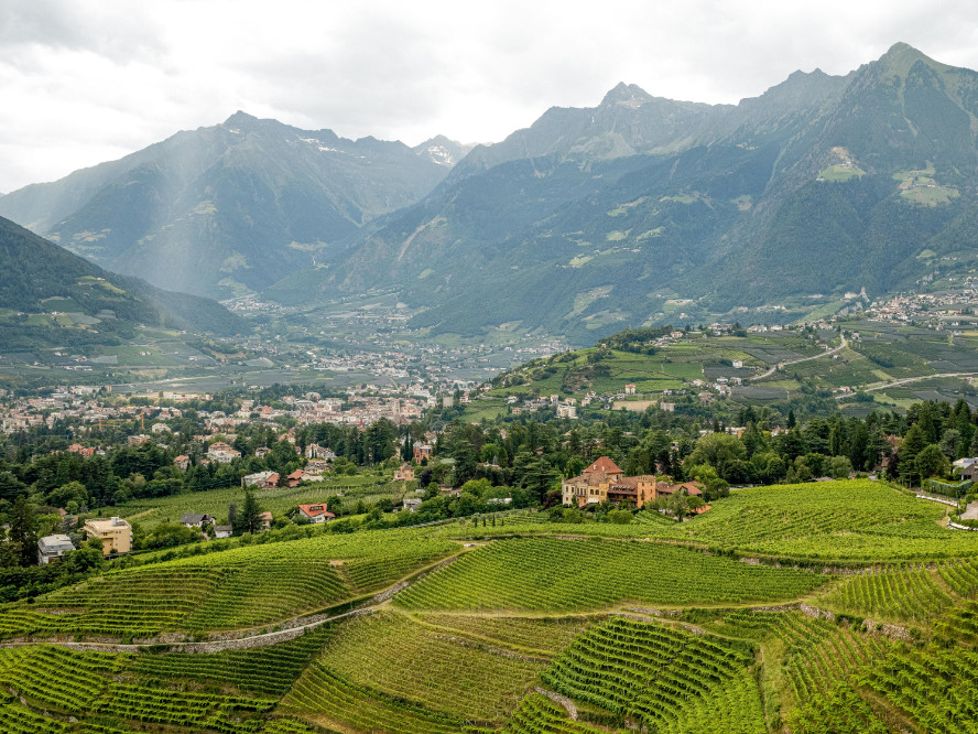 © IDM Südtirol Wein, Tiberio Sorvillo