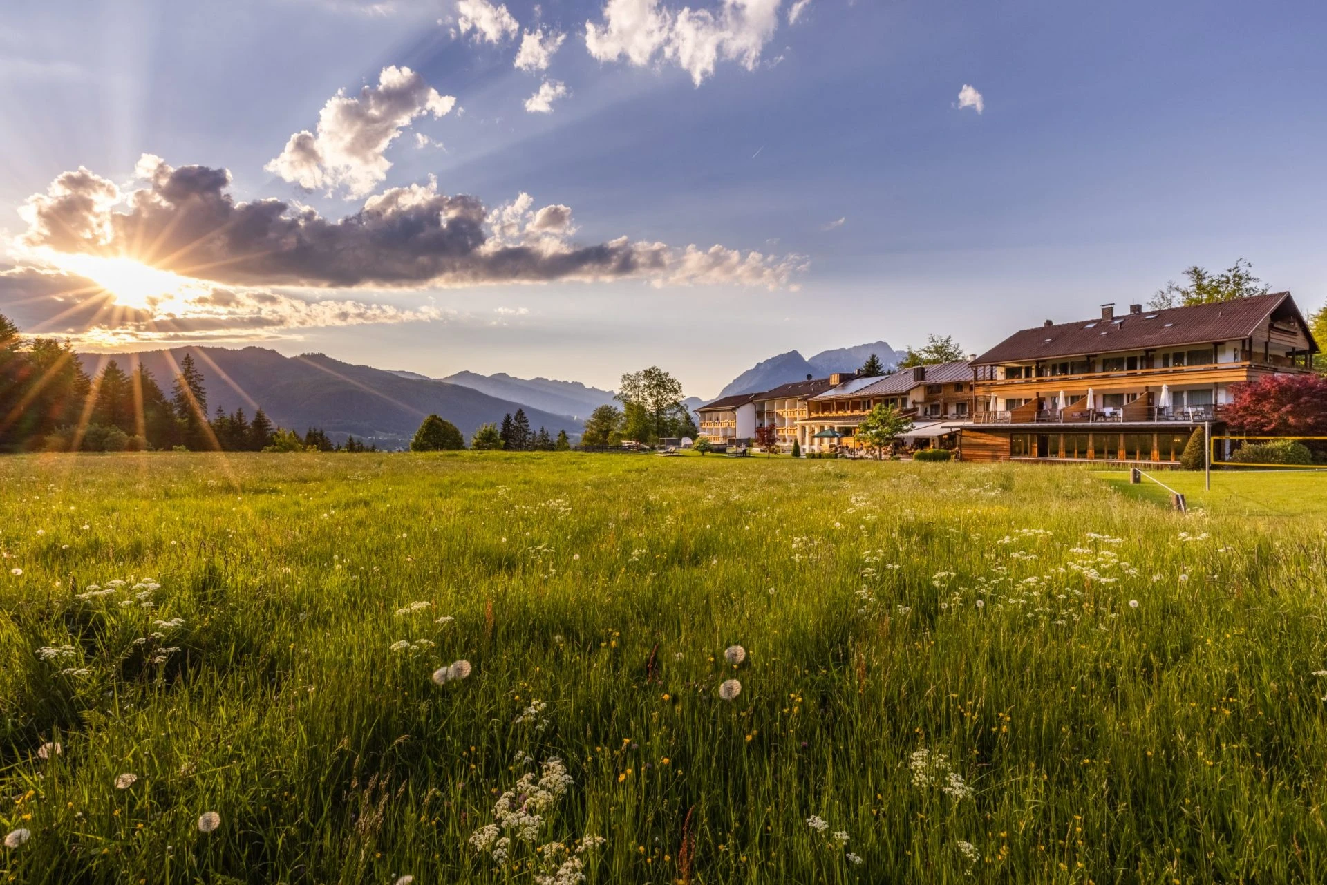 Alm- und Wellnesshotel Alpenhof 
HOGAST ID 181641 