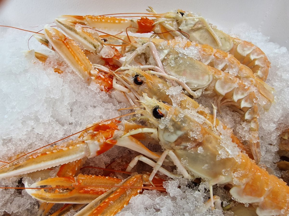 Gasthof Blaue Quelle