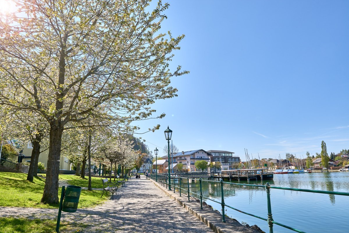 Seewirt Mattsee
SeeSide Hotel