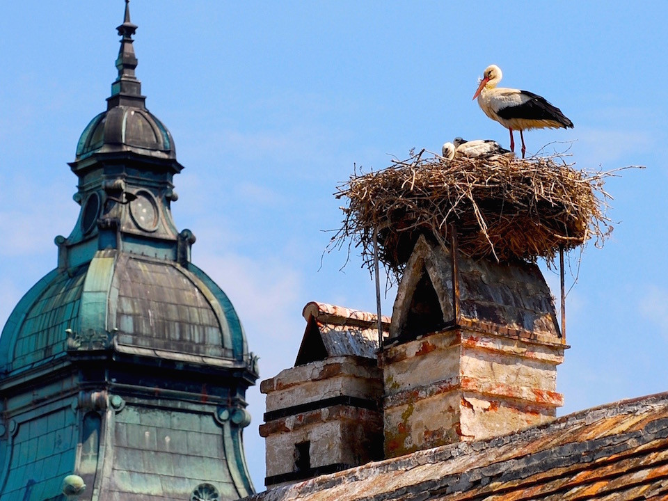 © Burgenland Tourismus GmbH, Günther Ippisch