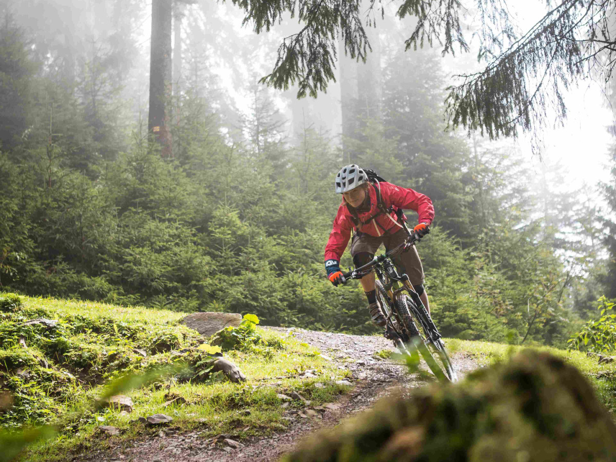 Female mountain biker in a forest in Hohe Tauern National Park.