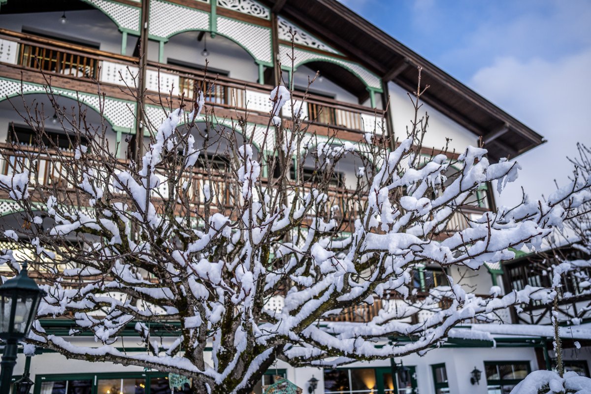 Hotel Seefischer