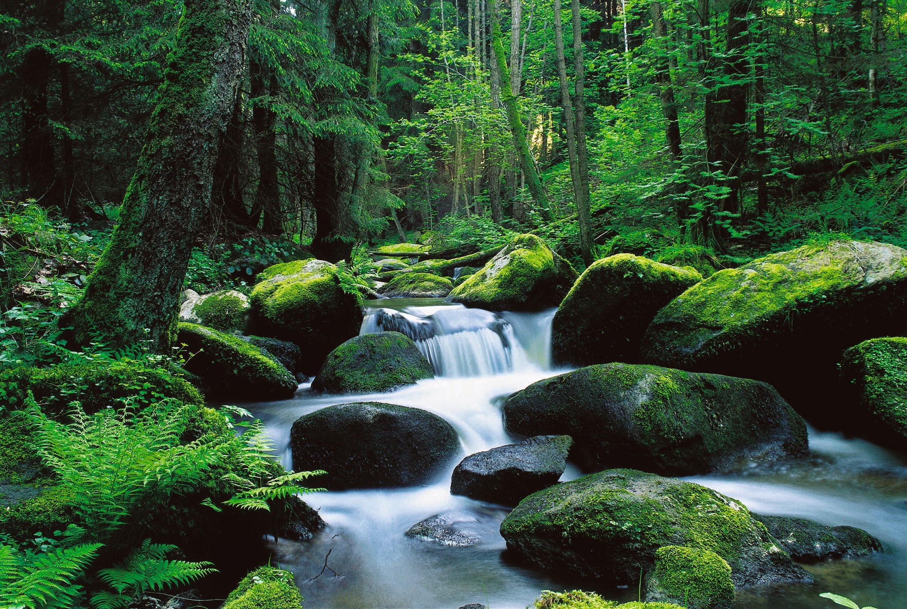 © Naturpark Nördlicher Oberpfälzer Wald e.V.