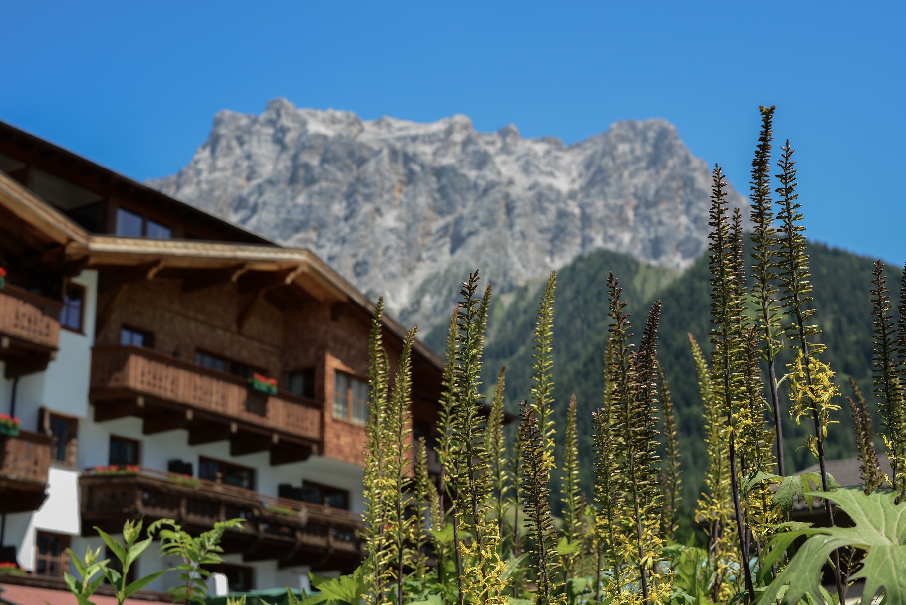 Hotel Tirolerhof