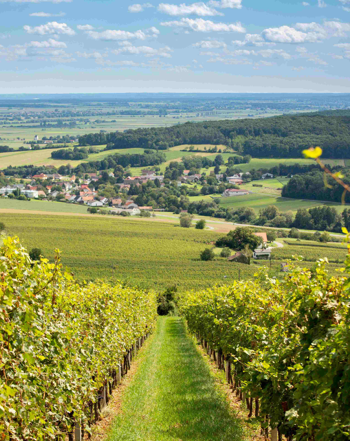 © Burgenland Tourismus GmbH, Andreas Hafenscher © Burgenland Tourismus GmbH, Andreas Hafenscher