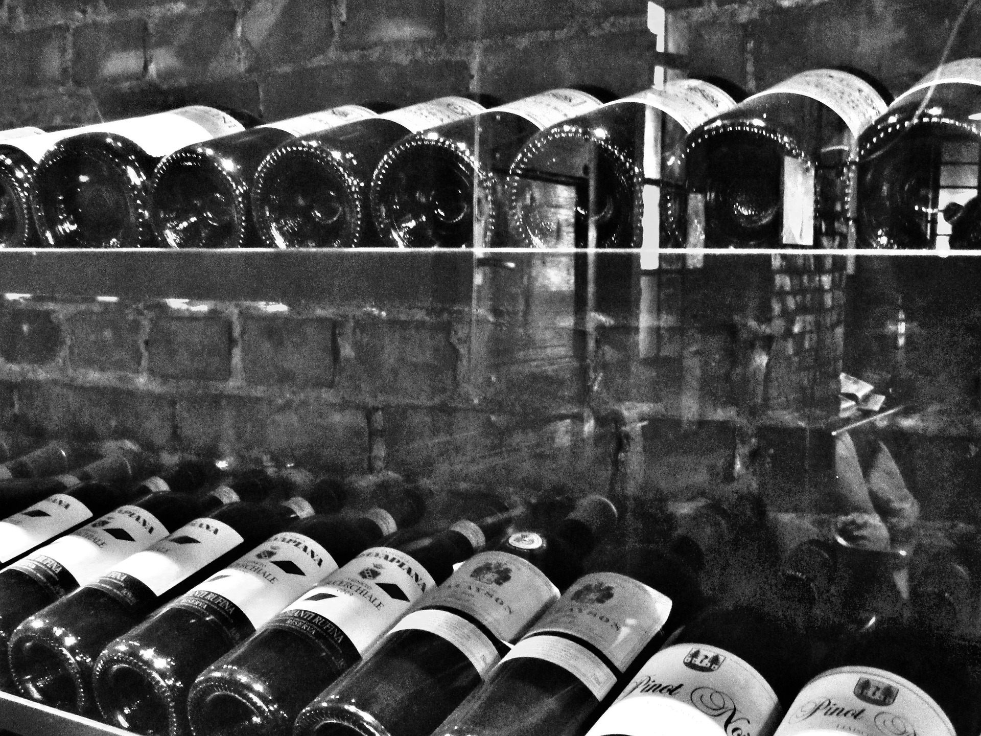 Wein