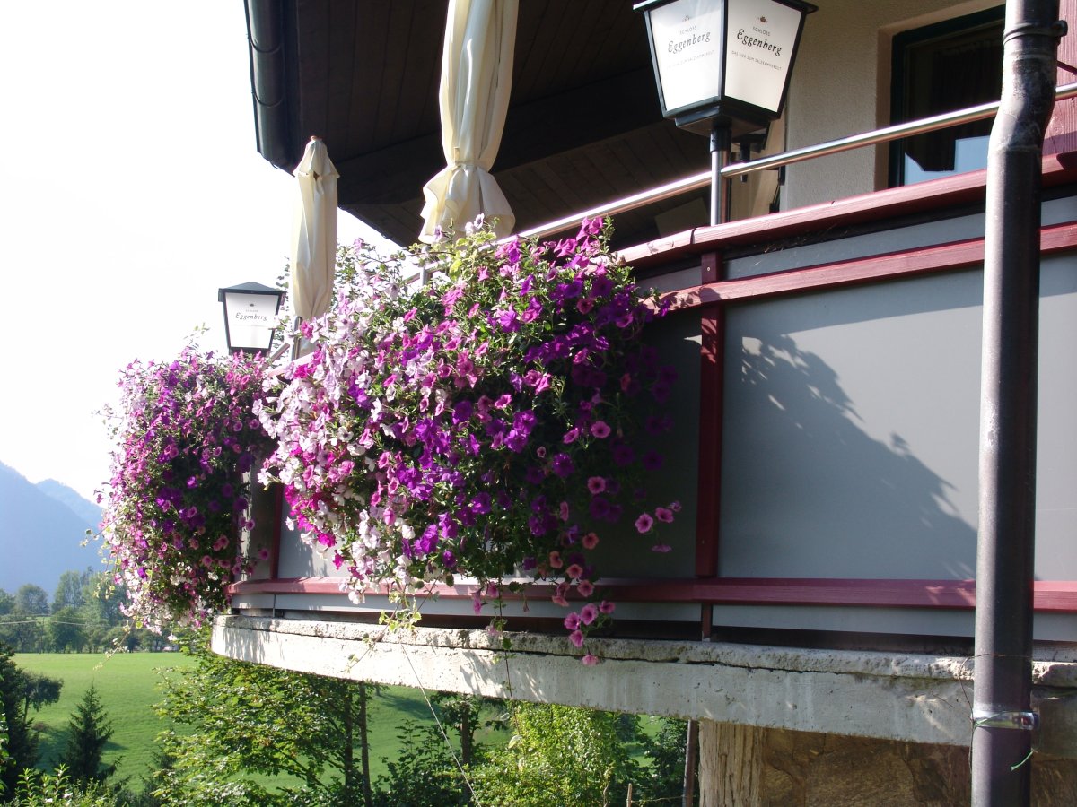 Wirtshaus Bergpfeffer