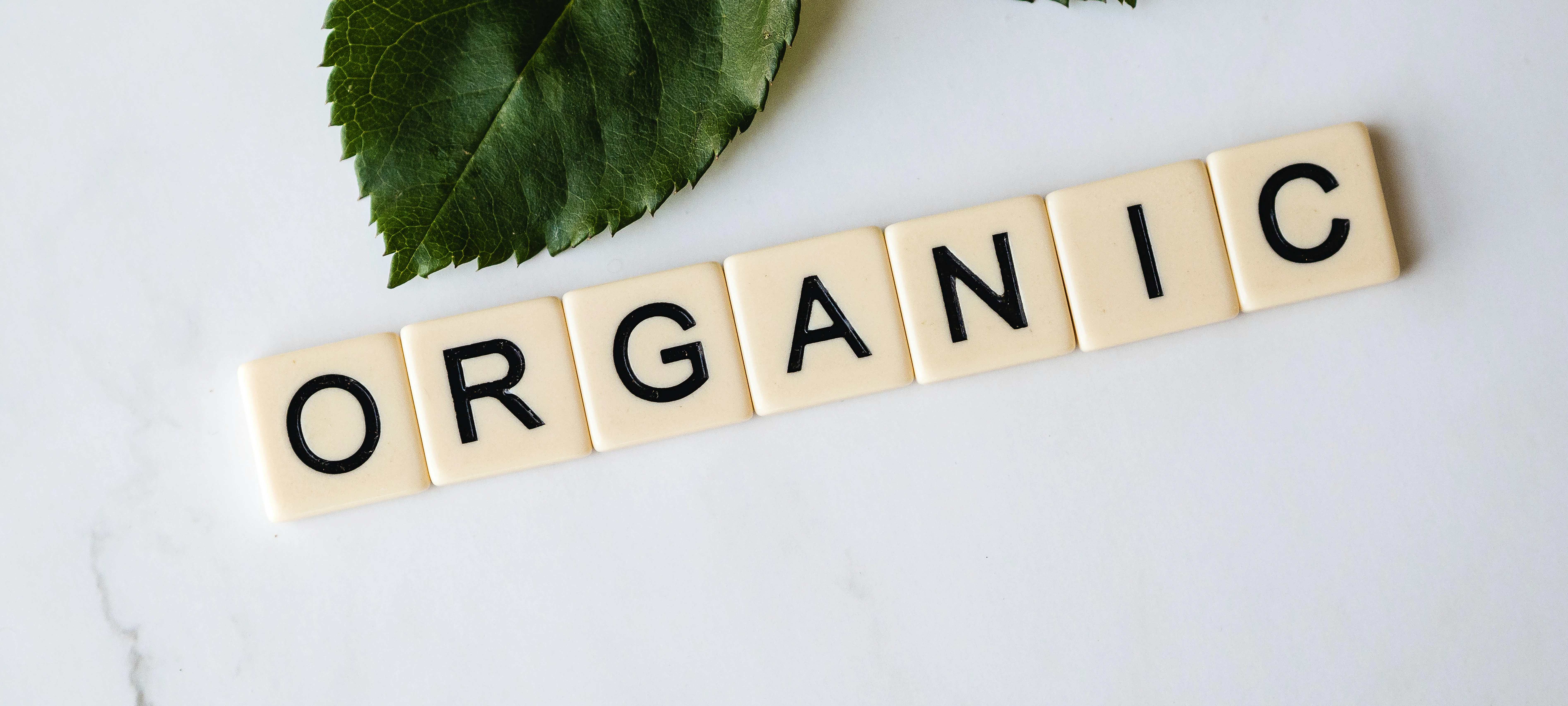 Decorative image