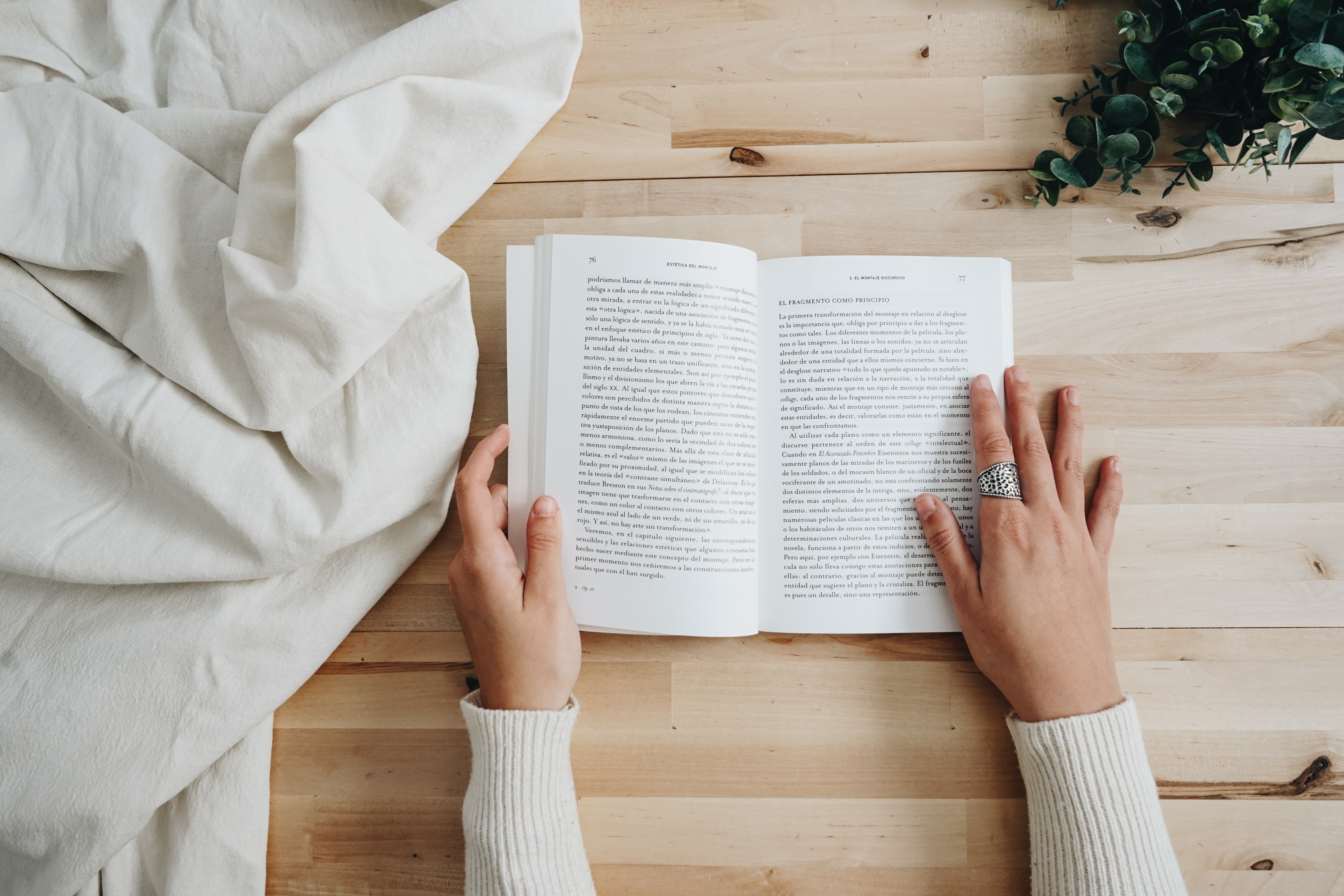 Buch Buch