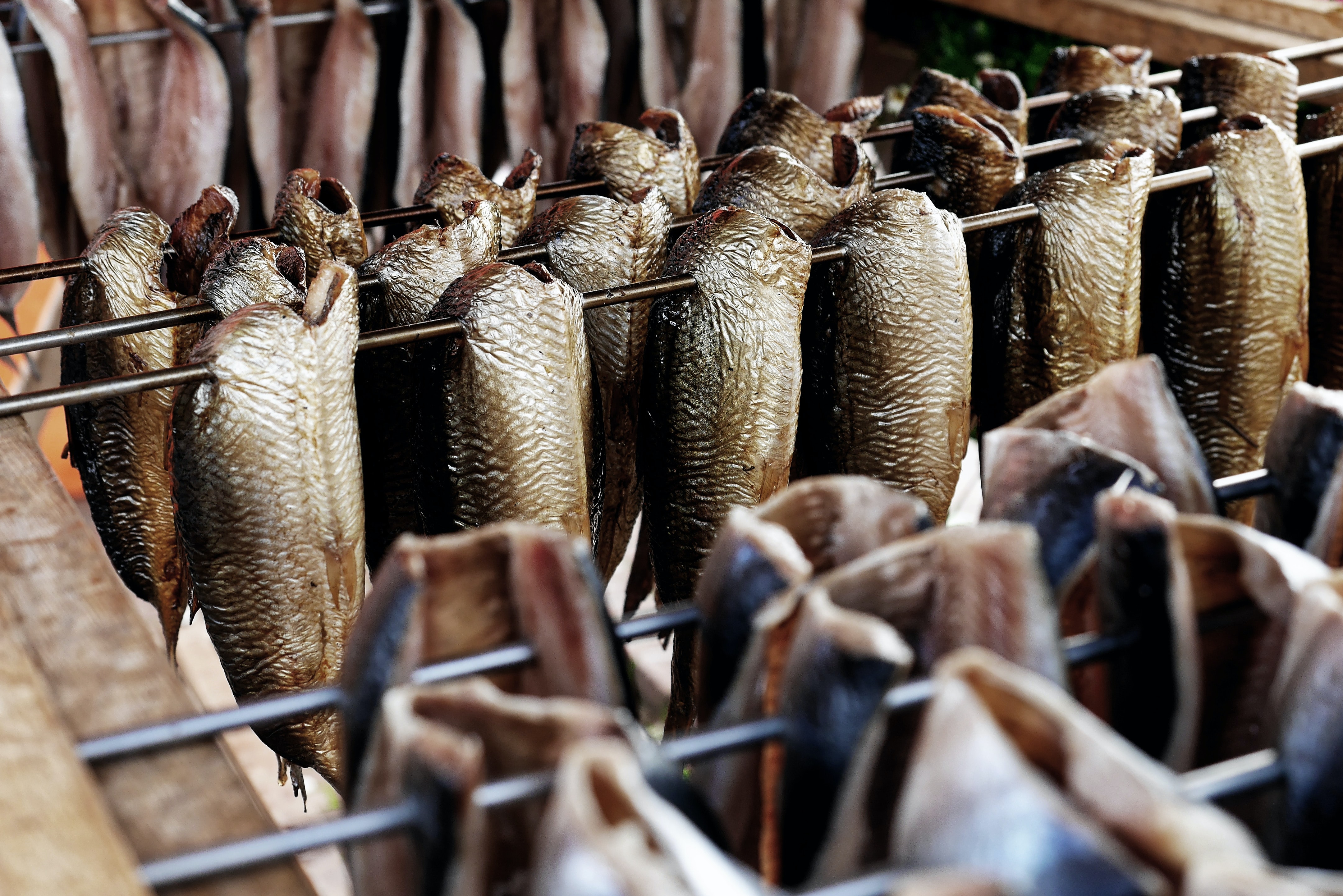 Geräucherte Fische Geräucherte Fische