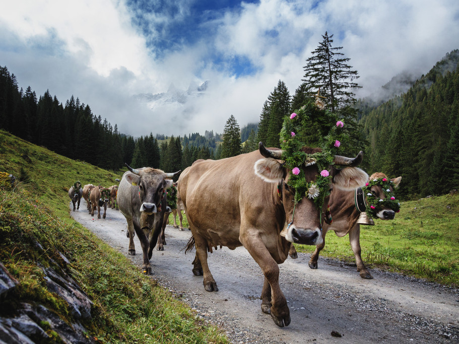 © Montafon Tourismus GmbH, Andreas Haller