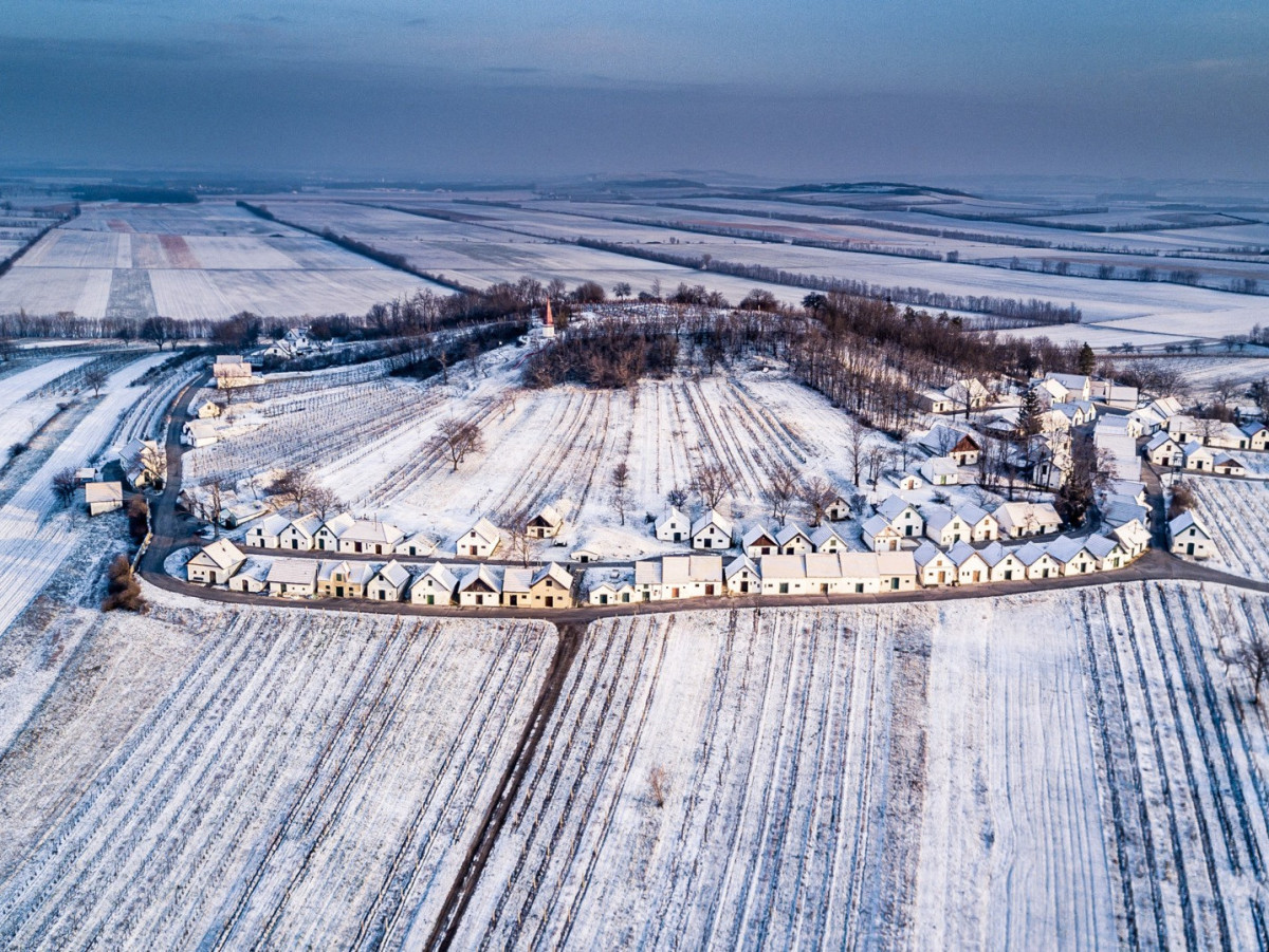 Verschneite Kellergasse in Niederösterreich: eine Reihe Häuser inmitten verschneiter Felder.
